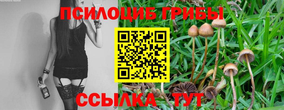Галлюциногенные грибы мухоморы Заволжье