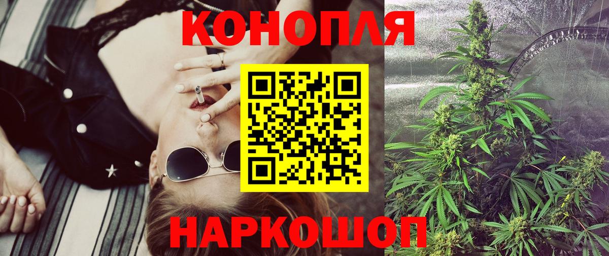Бошки Шишки планчик Заволжье